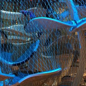 Meet your Posher, Kulwant